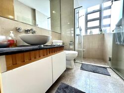 Cairnhill Crest (D9), Condominium #509711181